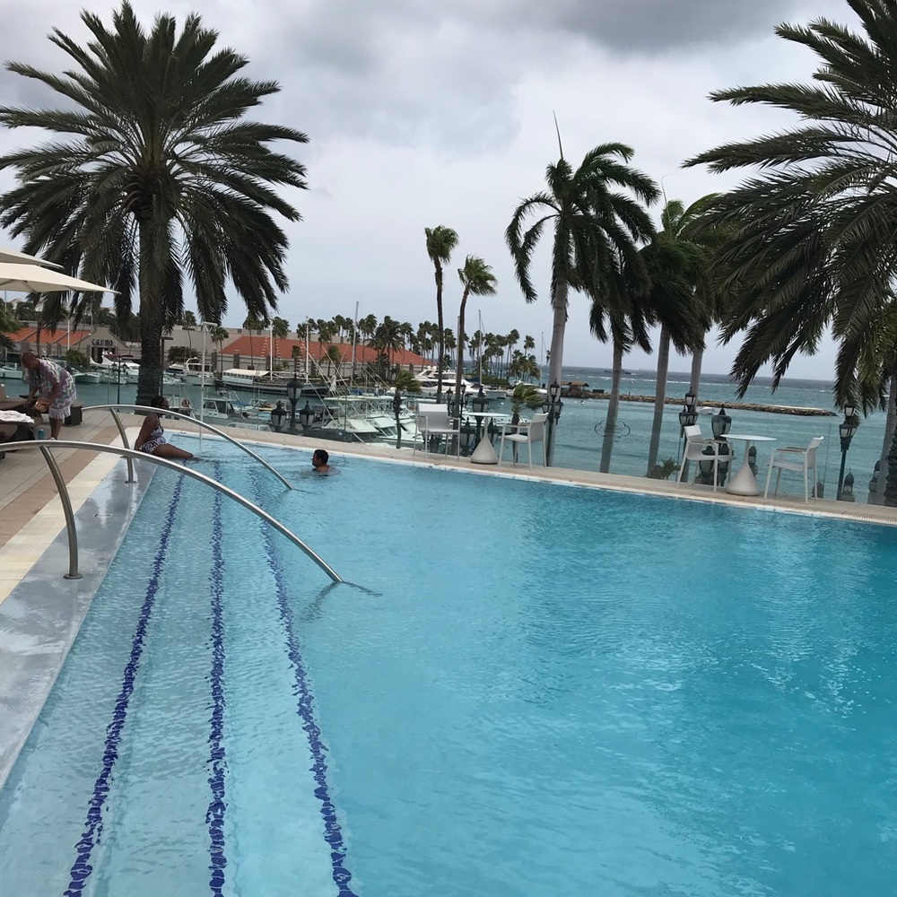 Meet your Posher, Annie